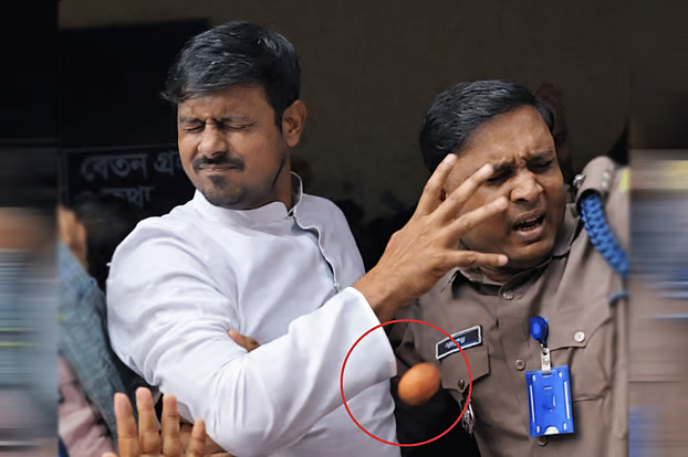 পিঠা উৎসবে তুলকালাম: নাসীরুদ্দীনের ওপর একের পর এক ডিম নিক্ষেপ, অভিযোগের তীর তারেক রহমান ও মির্জা আব্বাসের দিকে!