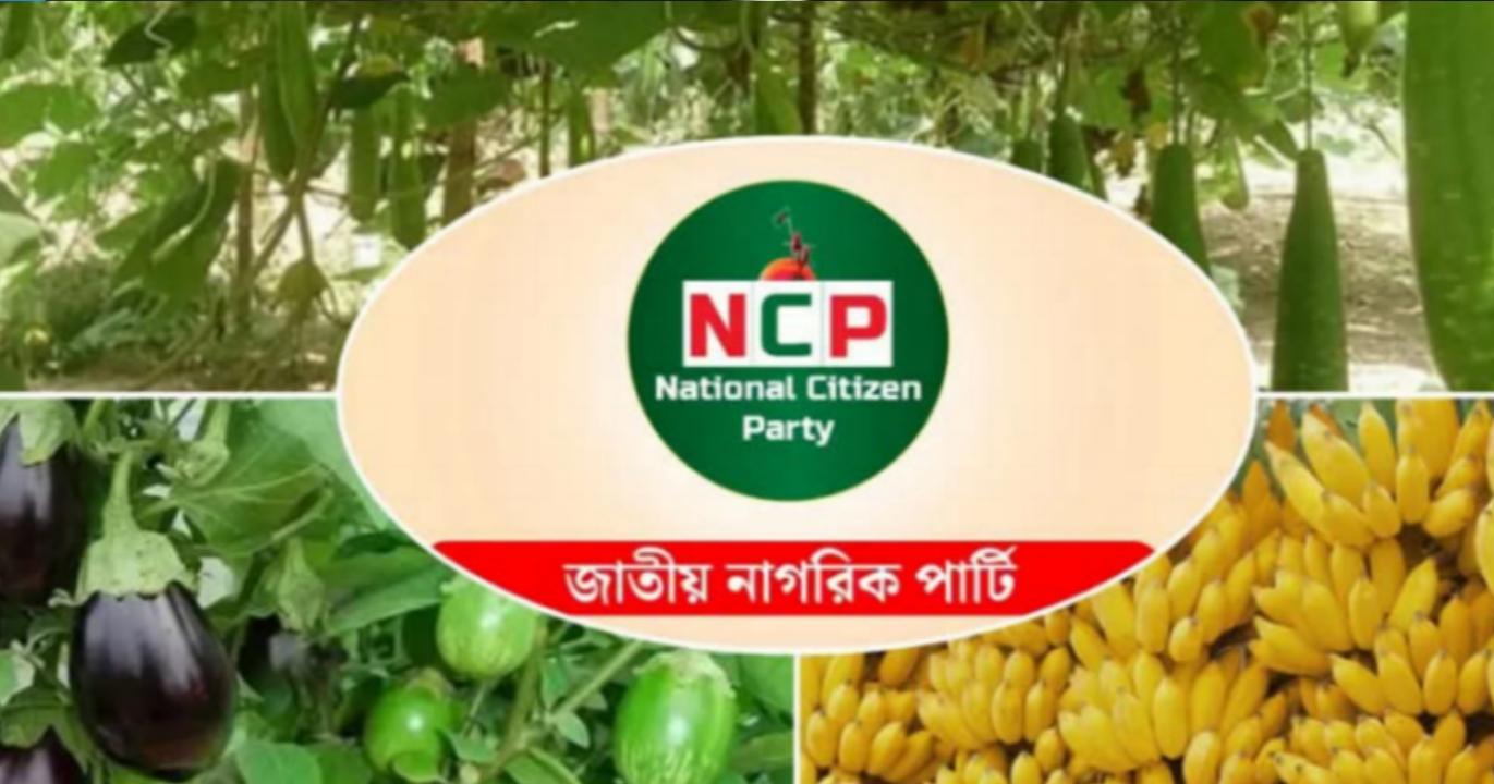 এনসিপি কে বেগুন- কলা- লাউ সহ ৫০ প্রতীকের অপশন দিলো ইসি