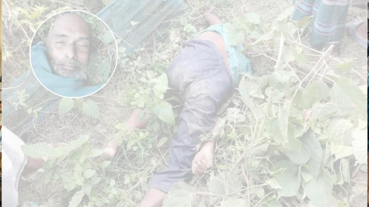 বরিশাল-ঢাকা মহাসড়কে অজ্ঞাত ব্যক্তির নিথর দেহ উদ্ধার